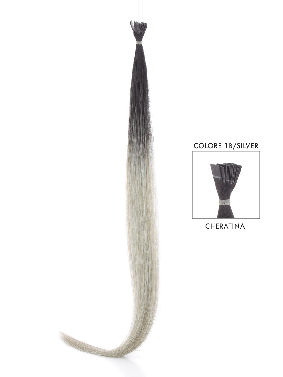 Keratin Ombre 2.5 gr | 1B/SILVER